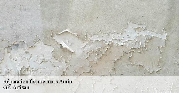 Réparation fissure murs aurin-31570 GK Artisan
