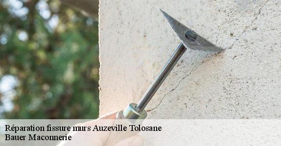 Réparation fissure murs  auzeville-tolosane-31320 Bauer Maconnerie