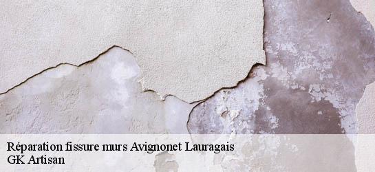 Réparation fissure murs 31290