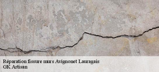 Réparation fissure murs 31290