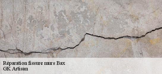 Réparation fissure murs 31310