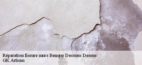 Réparation fissure murs 31110