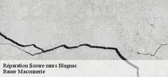 Réparation fissure murs  31700
