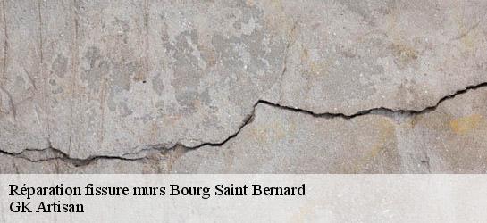 Réparation fissure murs  31570