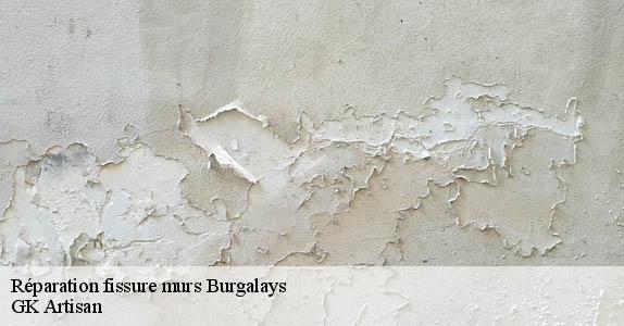 Réparation fissure murs  burgalays-31440 GK Artisan