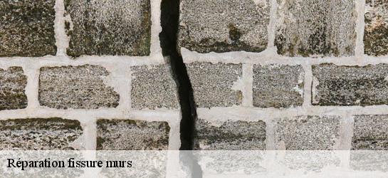 Réparation fissure murs  31440