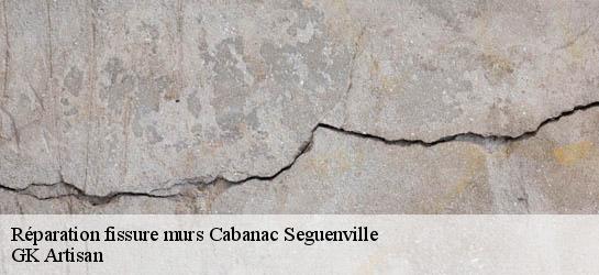 Réparation fissure murs  31480