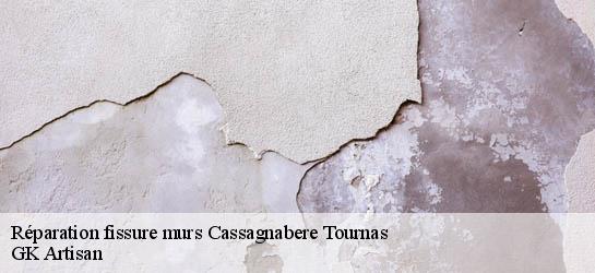 Réparation fissure murs  31420