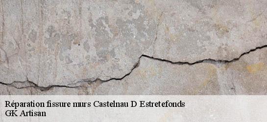 Réparation fissure murs  31620