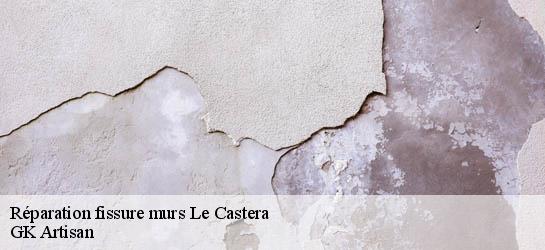 Réparation fissure murs 31530