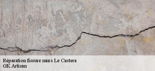 Réparation fissure murs 31530