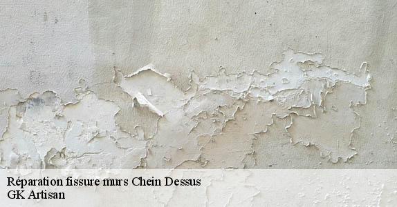 Réparation fissure murs chein-dessus-31160 GK Artisan