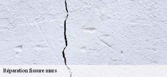 Réparation fissure murs 31230