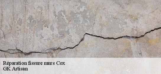 Réparation fissure murs 31480