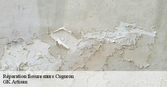 Réparation fissure murs  cuguron-31210 GK Artisan