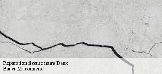Réparation fissure murs 31700