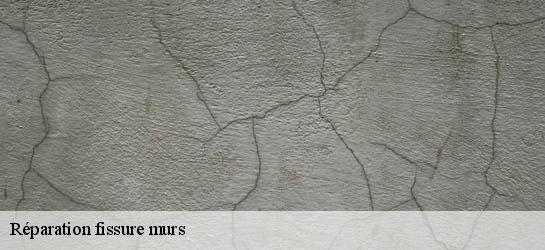 Réparation fissure murs  31280