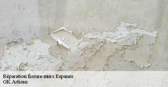 Réparation fissure murs  espanes-31450 GK Artisan