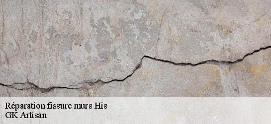 Réparation fissure murs  31260