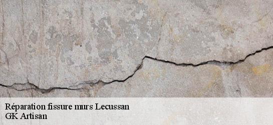 Réparation fissure murs  31580