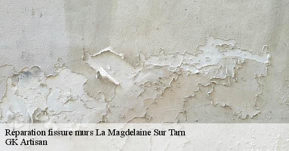 Réparation fissure murs  la-magdelaine-sur-tarn-31340 GK Artisan