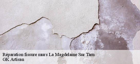 Réparation fissure murs  31340