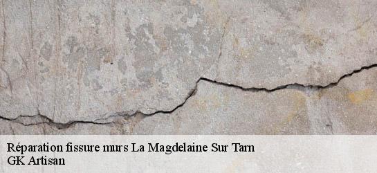 Réparation fissure murs  31340
