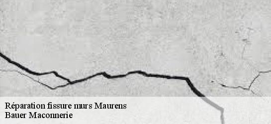 Réparation fissure murs  31540