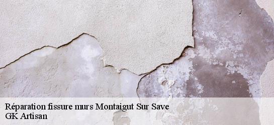 Réparation fissure murs  31530