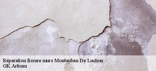 Réparation fissure murs 31110