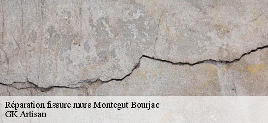 Réparation fissure murs  31430