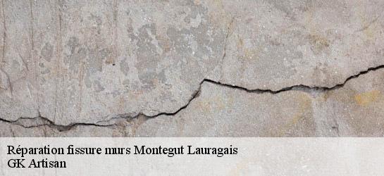 Réparation fissure murs  31540