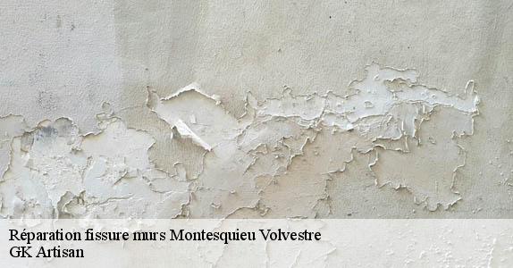 Réparation fissure murs  montesquieu-volvestre-31310 GK Artisan