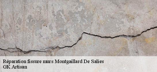 Réparation fissure murs 31260