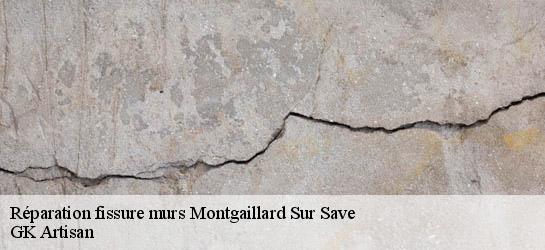 Réparation fissure murs 31350