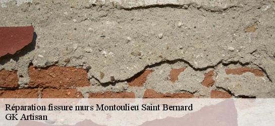 Réparation fissure murs 31420