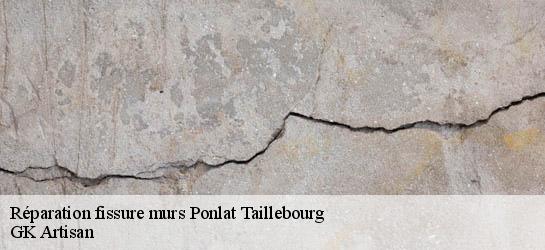 Réparation fissure murs 31210