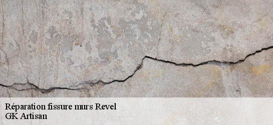Réparation fissure murs  31250