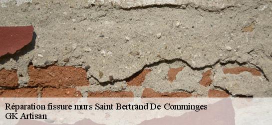 Réparation fissure murs 31510