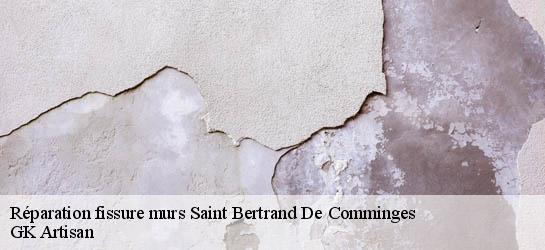 Réparation fissure murs  31510