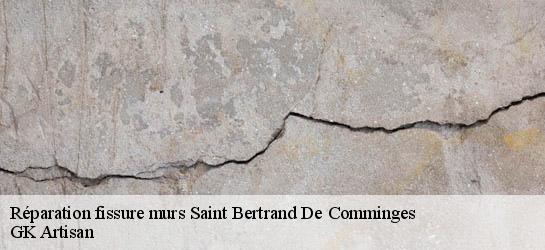 Réparation fissure murs  31510
