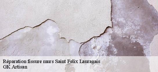 Réparation fissure murs  31540