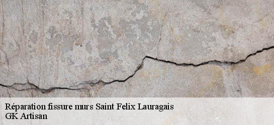Réparation fissure murs  31540