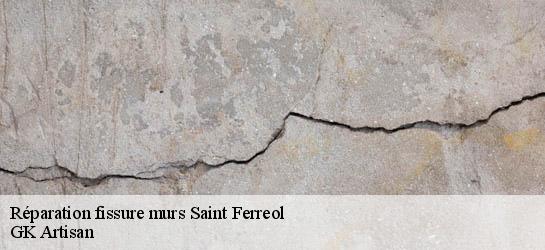 Réparation fissure murs  31350