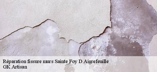 Réparation fissure murs  31570