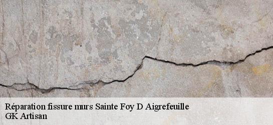 Réparation fissure murs  31570