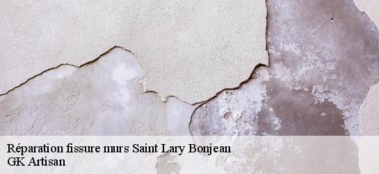 Réparation fissure murs  31350