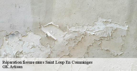 Réparation fissure murs  saint-loup-en-comminges-31350 GK Artisan