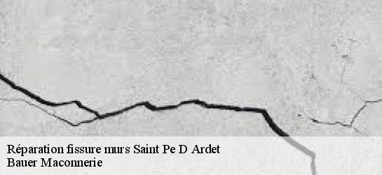 Réparation fissure murs  31510