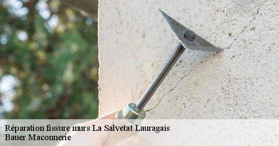 Réparation fissure murs  la-salvetat-lauragais-31460 Bauer Maconnerie
